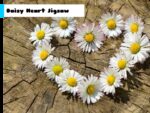 Daisy Middle Jigsaw